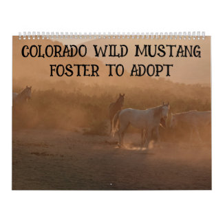 Colorado Foster to Adopt Calendar