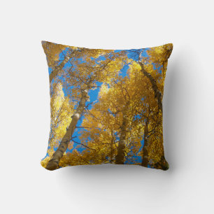 Colorado Golden Aspen in Fall Pillow