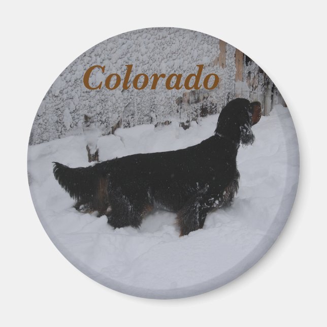 Colorado Gordon Setter Magnet (Front)