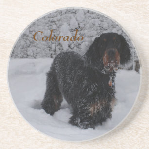 Colorado Gordon Setter Puppy In Snowstorm Coaster