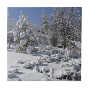 Colorado High Country Winter Tile