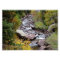Colorado Landscape Works