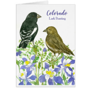 Colorado Lark Bunting Aquarelle Birds Blank