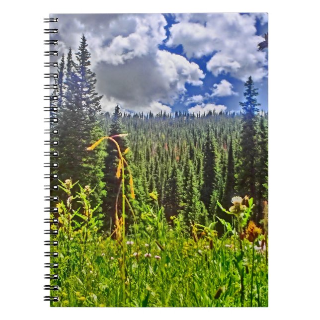 Colorado meadow scenery notebook (Front)
