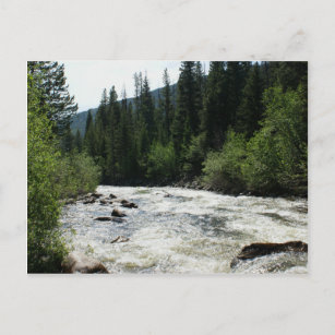 Colorado Mountain River Stationary Postcard