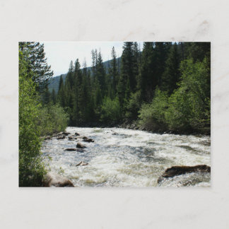 Colorado Mountain River Stationary Postcard