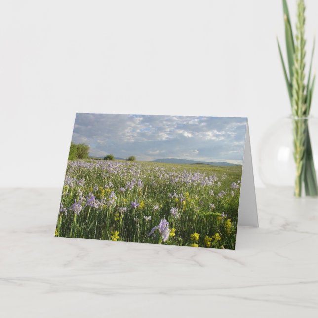 Colorado Mountain Wildflowers All Occasion Card (Front)