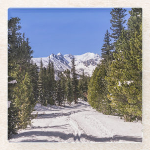 Colorado Mountains Snowy Trail Glass Coaster