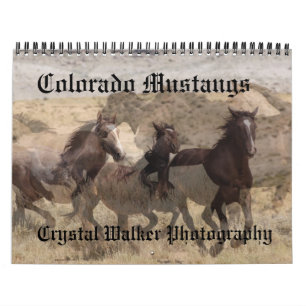 Colorado Mustangs Calendar