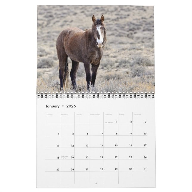 Colorado Mustangs Calendar (Jan 2026)