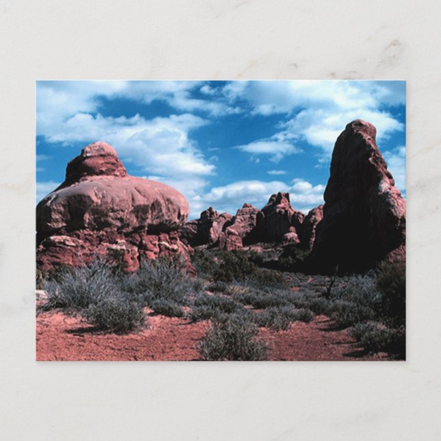 Colorado Plateau Postcard (Front)