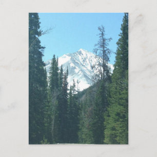 COLORADO POSTCARD