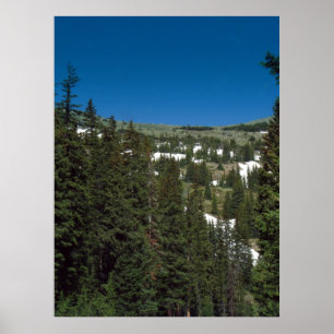 Colorado Poster