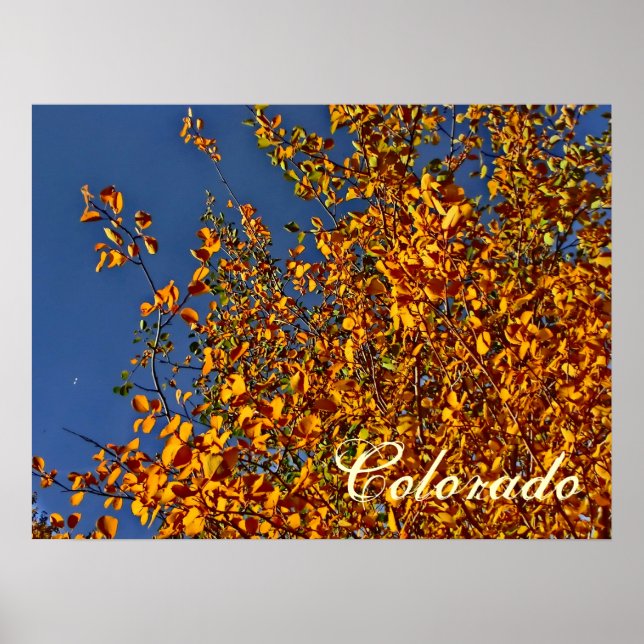 Colorado poster de tremble de chute (Devant)