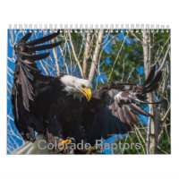 Colorado Raptor Calendar