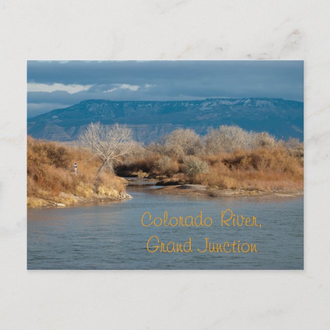 Colorado River,Grand Junction Postcard (Front)