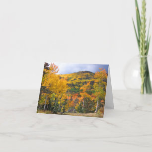 Colorado Rocky Mountains Aspen Trees Fall Foliage Card