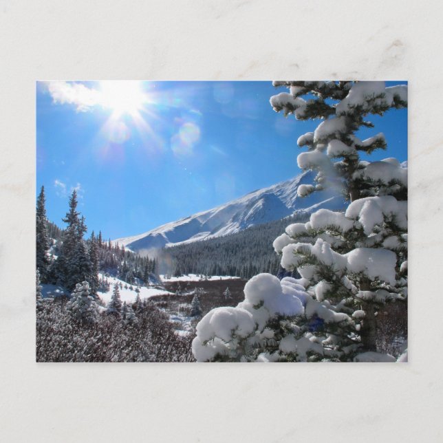 Colorado Rocky Mountains in Winter Postcard (Front)