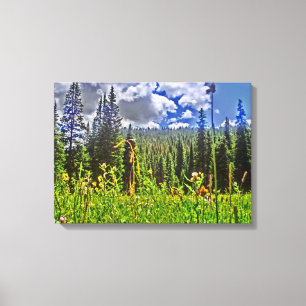 Colorado scenery canvas wrap