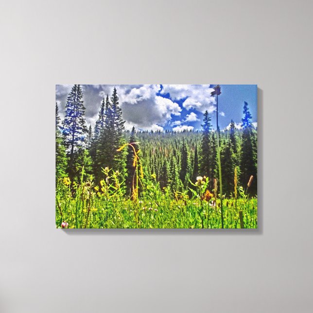Colorado scenery canvas wrap print (Front)
