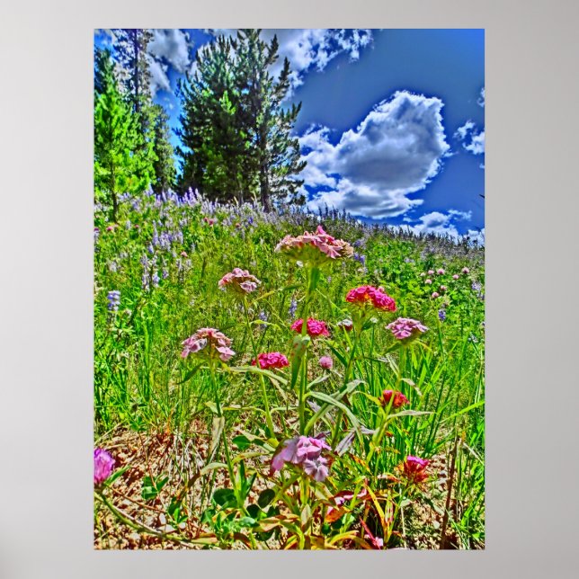 Colorado scenic canvas print (Front)