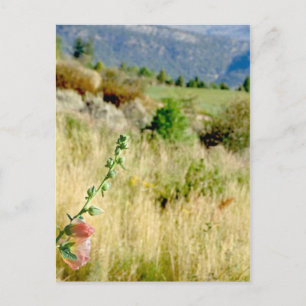 Colorado September Postcard