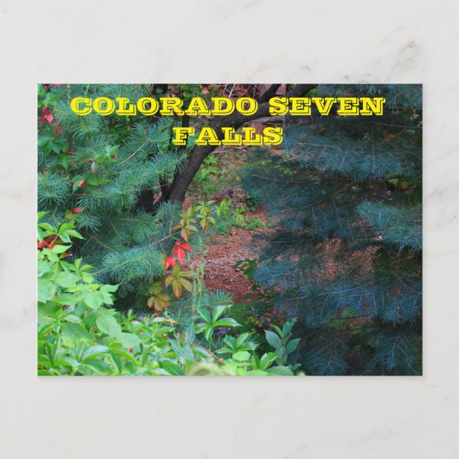 Colorado Seven Falls avec arbres CARTE POST (Devant)