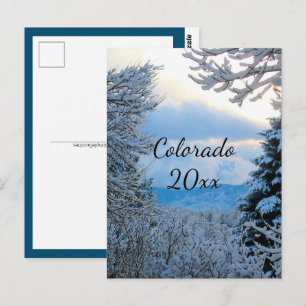 Colorado Snowy Mountains Framed by Pine Trees Postcard