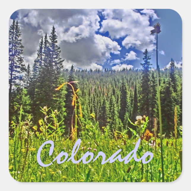 Colorado spring sticker (Front)