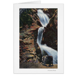 Colorado Springs, CO - Lower Three of Seven Falls