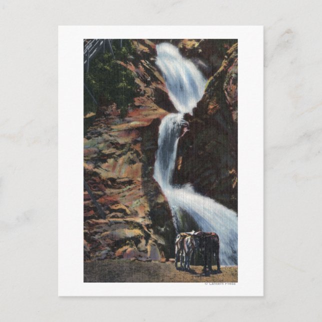 Colorado Springs, CO - Lower Three of Seven Falls Postcard (Front)