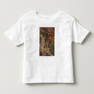 Colorado Springs, CO Toddler T-shirt