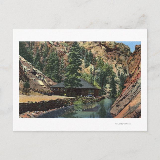 Colorado Springs, CO - Trout Postcard (Front)