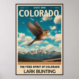 Colorado State Bird - Lark Bunting Vintage Poster