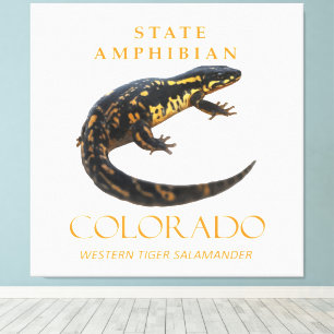 Colorado Territory Amphibian The Western Tiger Canvas Print
