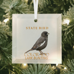 Colorado Territory Bird The Lark Bunting Glass Ornament