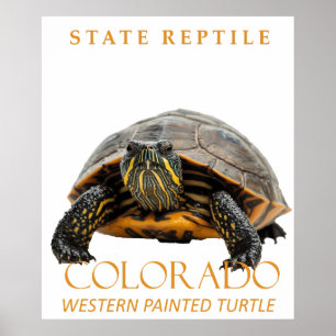 Colorado Territory Reptile Western Painted Turtle Poster