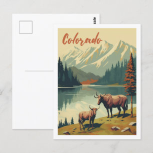 Colorado United State Vintage Famous Travel Place  Postcard