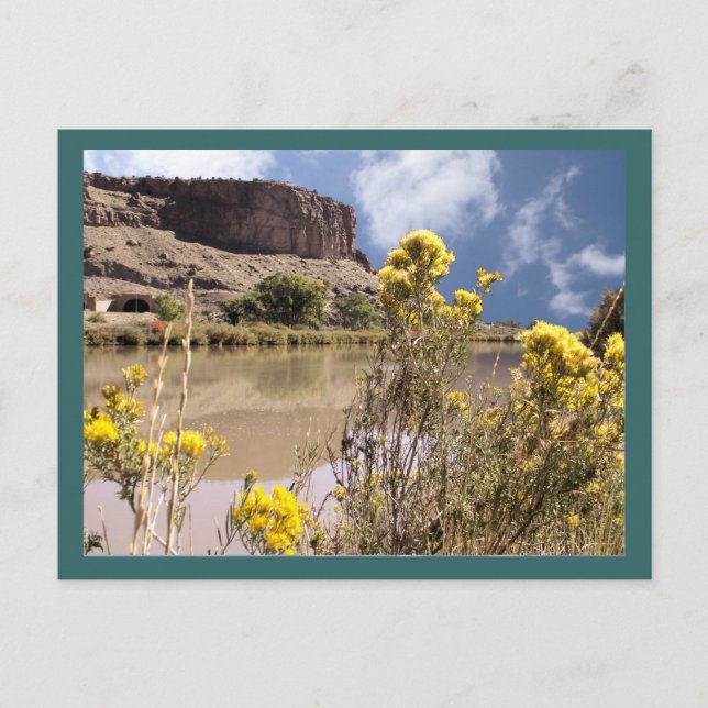 Colorado Wildflowers Postcard (Front)
