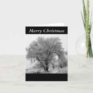 Colorado Winter Christmas Card