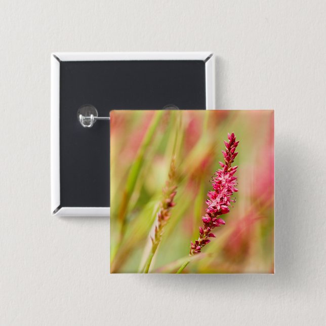 colorbush 2 inch square button (Front & Back)