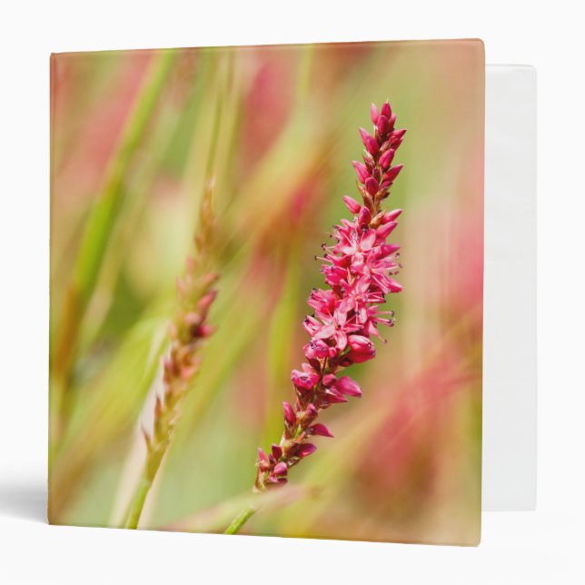 colorbush binder (Front/Inside)