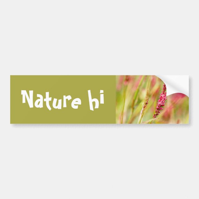 colorbush bumper sticker (Front)