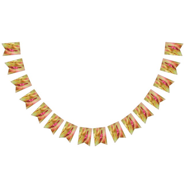 colorbush bunting flags (All)