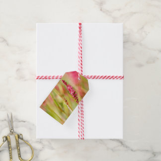 colorbush gift tags