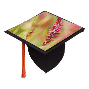 colorbush graduation cap topper