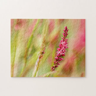 colorbush jigsaw puzzle