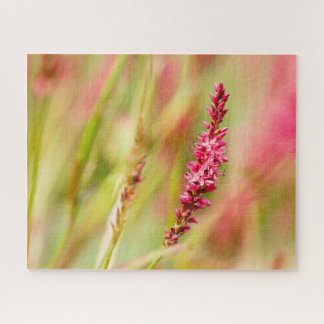 colorbush jigsaw puzzle