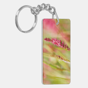 colorbush keychain
