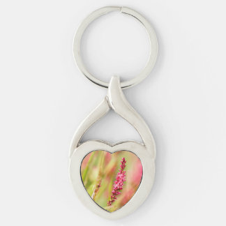 colorbush keychain